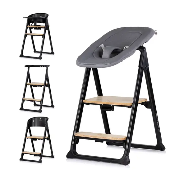 Slika Hranilica 4u1 QUATRO Charcoal - Chipolino