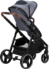 Slika Kolica 4u1 BLOOM siva FREEON