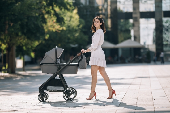 Slika Kolica 4u1 BLOOM siva FREEON
