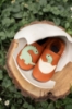 Slika Mekane dječje cipelice Klasične Dino family S Baobaby