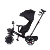 Slika Tricikl Smart Raven - Chipolino