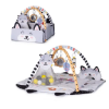 Slika Edukativni centar za igru s lopticama FUN ZONE Multicolor - Chipolino