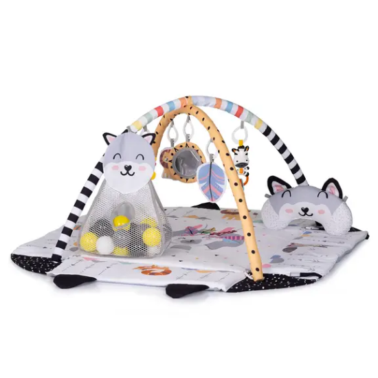 Slika Edukativni centar za igru s lopticama FUN ZONE Multicolor - Chipolino