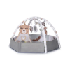 Slika Edukativni centar za igru s lopticama ANIMAL ADVENTURES - Chipolino