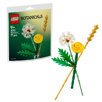 Slika LEGO BOTANICALS 30701 Poljsko cvijeće