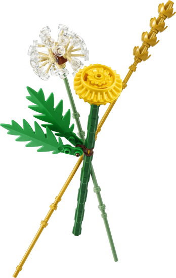 Slika LEGO BOTANICALS 30701 Poljsko cvijeće