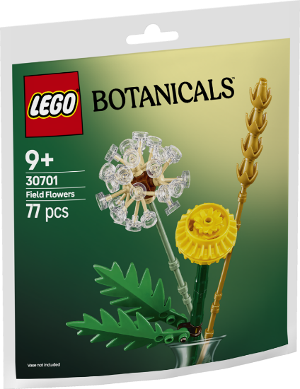 Slika LEGO BOTANICALS 30701 Poljsko cvijeće