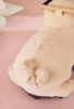 Slika Dječja guralica za vožnju, psić - Kid's Concept