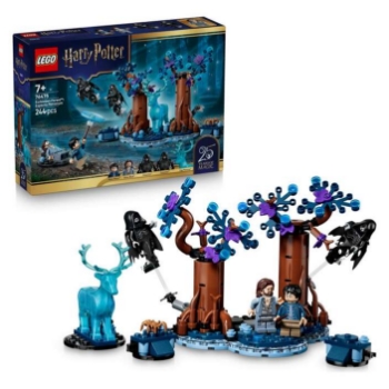 Slika LEGO® HARRY POTTER™ 76475 Zabranjena šuma: Expecto Patronum