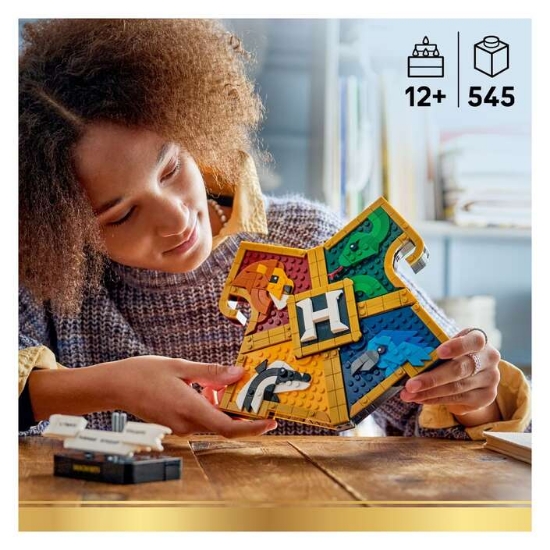 Slika LEGO® HARRY POTTER™ 76462 Grb škole Hogwarts™