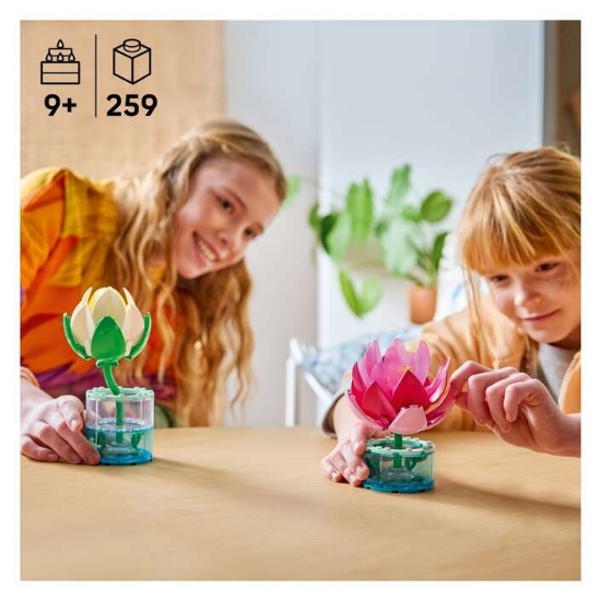 Slika LEGO BOTANICALS 11511 Lopoči