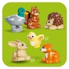 Slika LEGO® DUPLO® 10480 Šuma otkrivanja s divljim životinjama