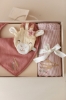 Slika Gift box Giraffe - Little Dutch