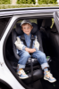 Slika Autosjedalica Beyond2 360 B, Dark Grey Mélange BeSafe 