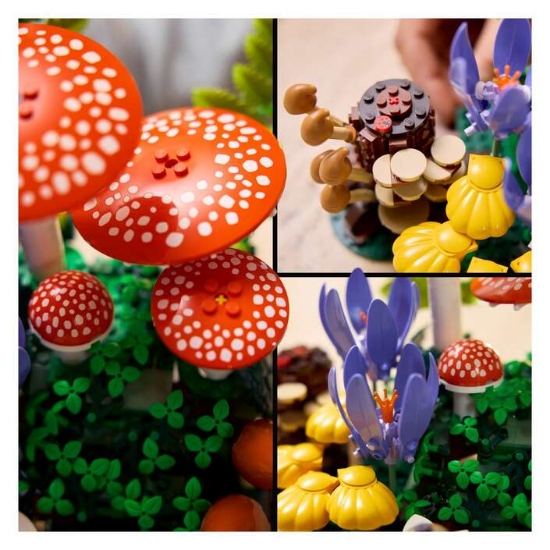 Slika LEGO BOTANICALS 11505 Šumske gljive