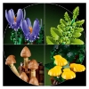 Slika LEGO BOTANICALS 11505 Šumske gljive