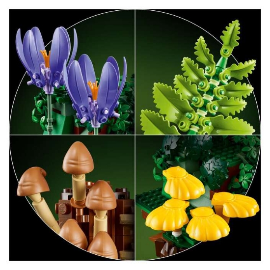 Slika LEGO BOTANICALS 11505 Šumske gljive