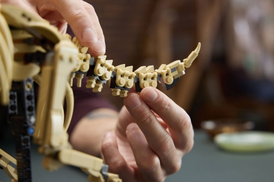 Slika LEGO® JURASSIC WORLD™ 77985 Fosili dinosaura: Triceratops