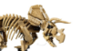 Slika LEGO® JURASSIC WORLD™ 77985 Fosili dinosaura: Triceratops