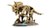 Slika LEGO® JURASSIC WORLD™ 77985 Fosili dinosaura: Triceratops