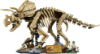 Slika LEGO® JURASSIC WORLD™ 77985 Fosili dinosaura: Triceratops