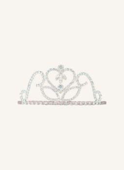 Slika Srebrni tiara