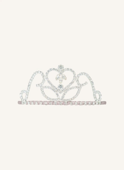 Slika Srebrni tiara