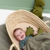 Slika Plišana igračka za bebe Mr. Dino Trixie
